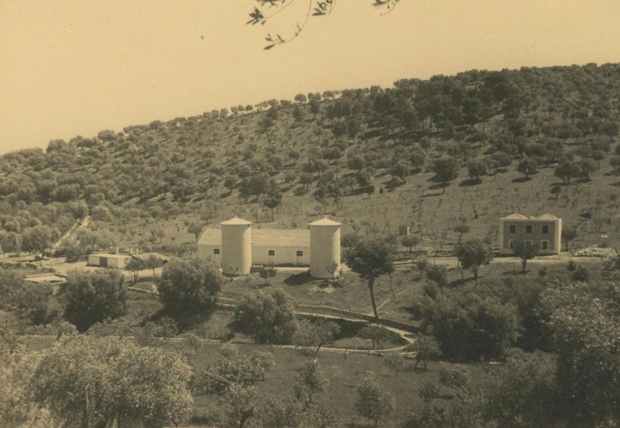 Rocca Sul Mare Hotel Vieste Dış mekan fotoğraf