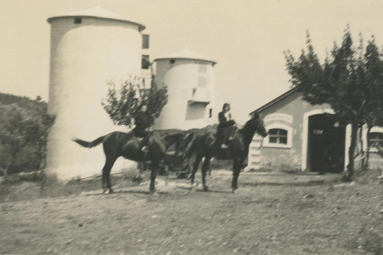 Rocca Sul Mare Hotel Vieste Dış mekan fotoğraf