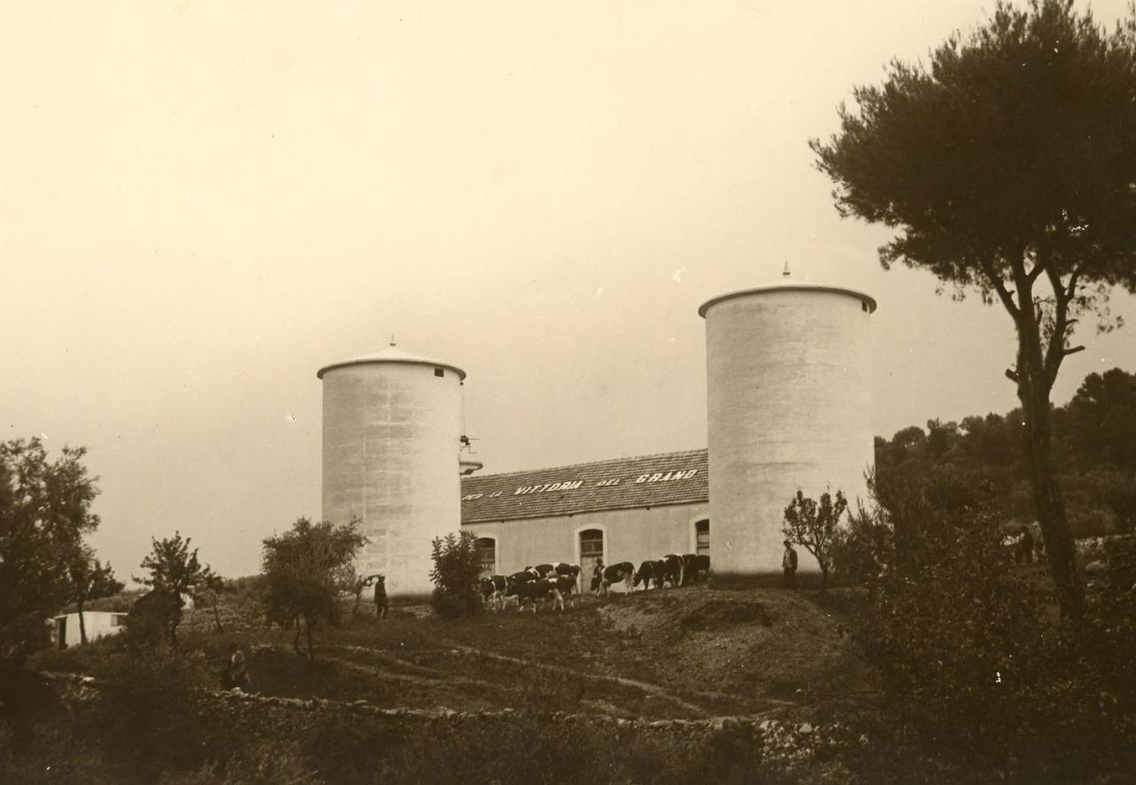 Rocca Sul Mare Hotel Vieste Dış mekan fotoğraf