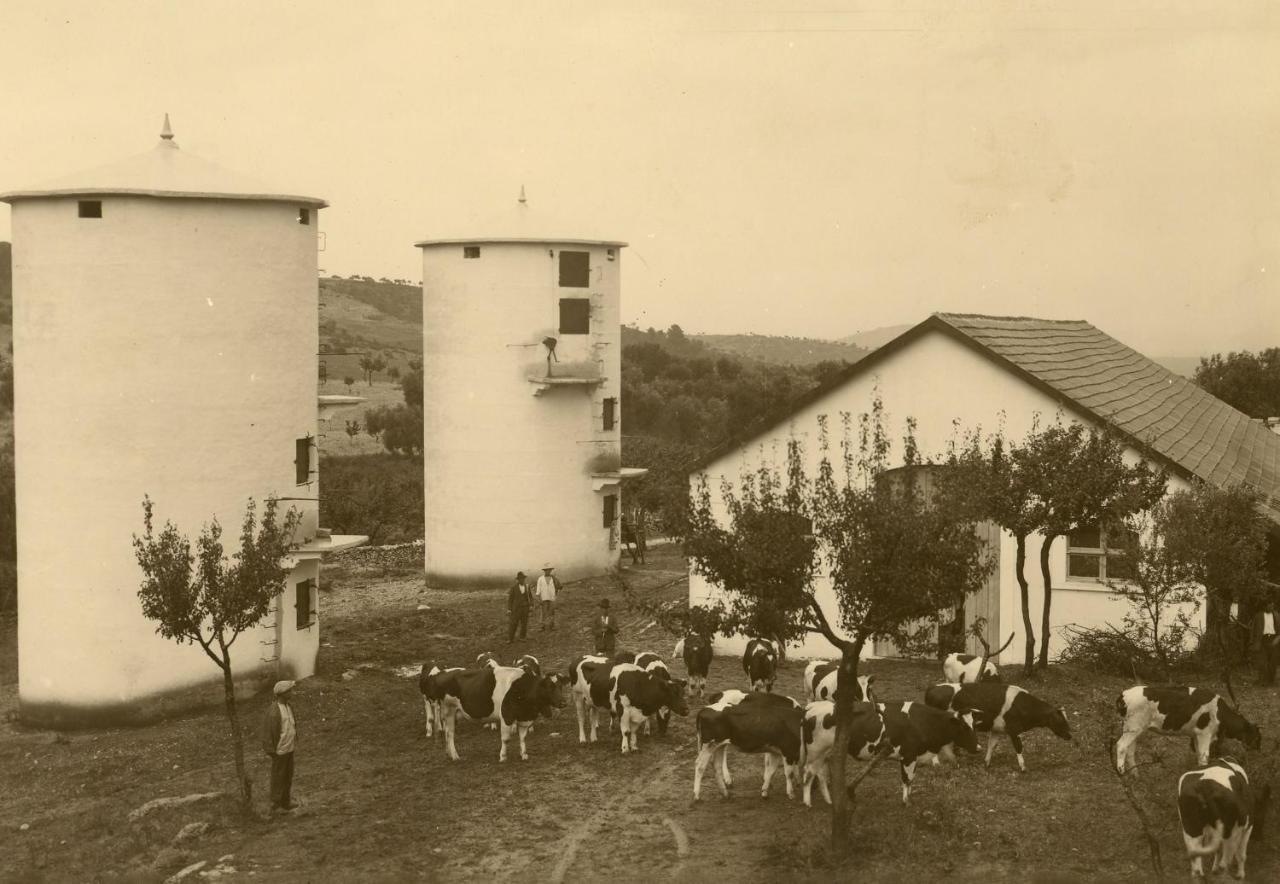 Rocca Sul Mare Hotel Vieste Dış mekan fotoğraf